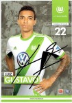 Luiz Gustavo.jpg