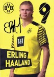 Haaland_Erling.jpg